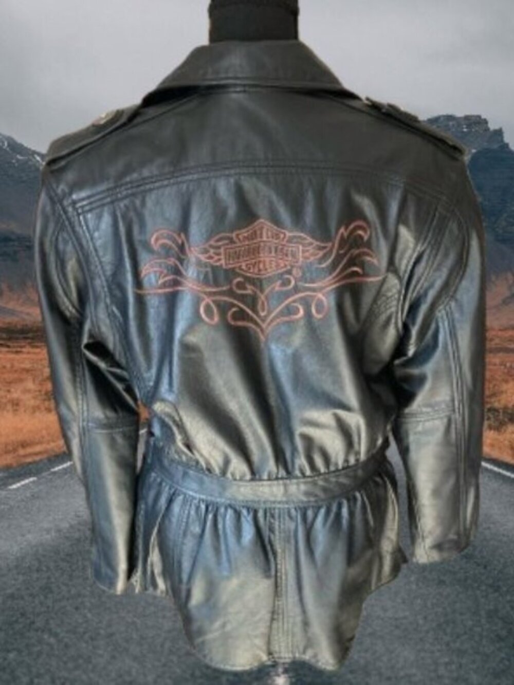 Vintage Harley Davidson Leather Jacket Size Medium Biker Moto Motorcycle - Picture 3 of 14